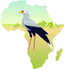 African savannah with secretary bird - vector illustration