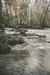 River in Oconaluftee in Smoky Mountains National Park, Tennessee