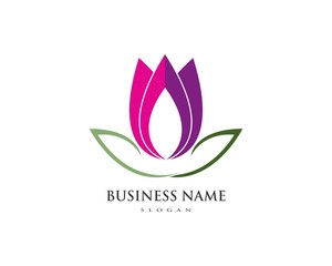 Lotus flowers design logo Template