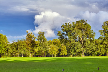 Green landscape. the green nature. nature landscape