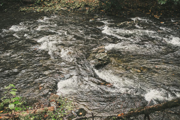 Deep Creek in Swain County, Smoky Mountain national Park North Carolina