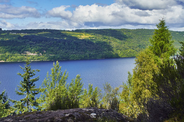Forest view loch ness