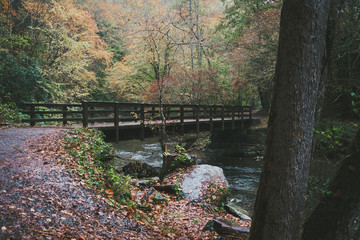 Bridge over Deep Creek in Smoky Mountains National Park, North Carolina