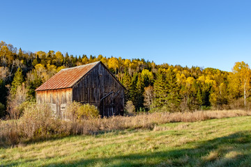 Abandoned Barn - Late Fall