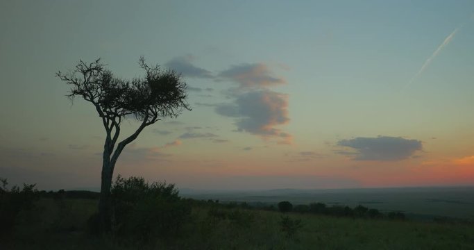 Landscape shot during sunset at Maasai Mara National Reserve, Kenya, Africa