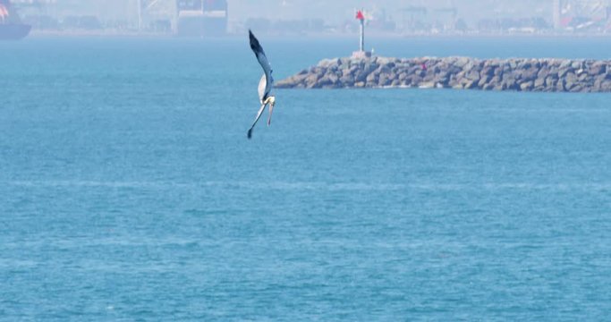 Slow motion of Pelicans diving and catching fish at Seal Beach with ships in the background, California