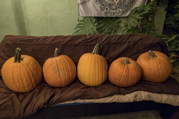 Five pumpking sit on a sofa