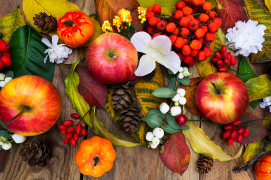 Fall decoration with ripe apples, pumpkins and white silk flowers, top view