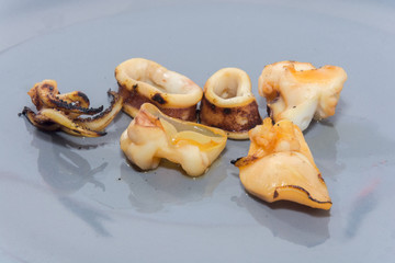 a piece of Grilled squid on plate