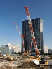 臨海地域の大規模工事現場