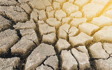 Drought land and cracked earth landscape, Global climate change