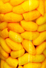 Close up of yellow silkworm cocoon