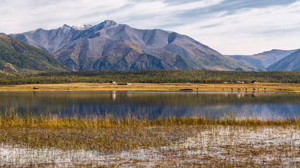 Mongolian yurts on the shore of the lake