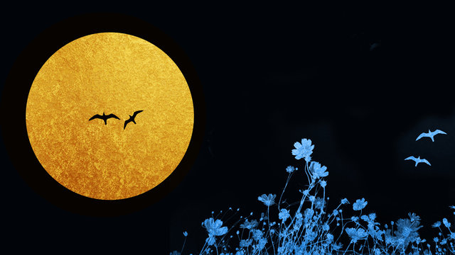 満月と鳥2羽　夜景