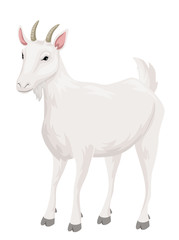 Goat Illustration