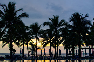 Obraz na płótnie Canvas coconut palm trees silhouette