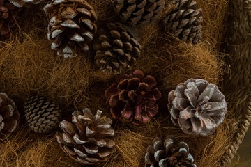 Overhead view of pine cones and hay in basket