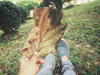 Selfie of dried leaves on hand
