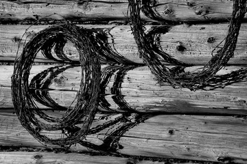 Fototapeta premium Barbed Wire 