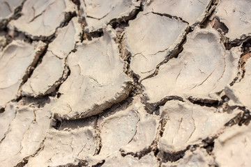Land with dry and cracked ground.