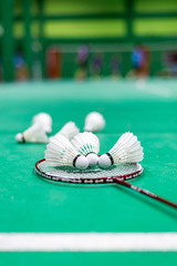 badminton shuttlecock and racket on court, selective focus