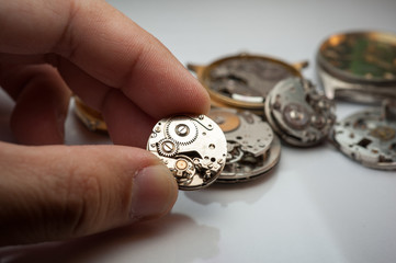 Detail of watch machinery on the table. 