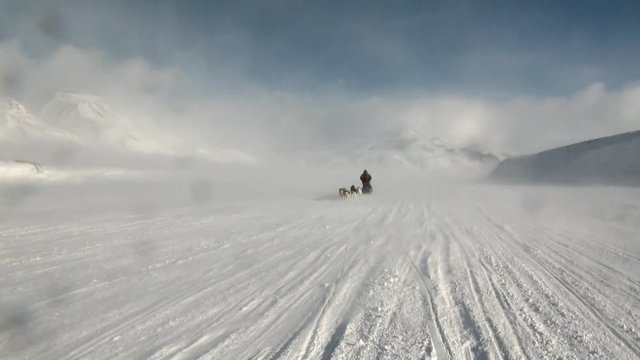 People expedition on dog sled team husky Eskimo road of North Pole in Arctic. Way from airport Longyear to Pyramiden Spitsbergen on background of glacier mountains Svalbard.