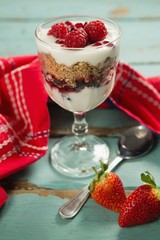 Cup of yogurt with raspberry and pomegranate