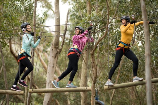 Friends Enjoying Zip Line Adventure In Park