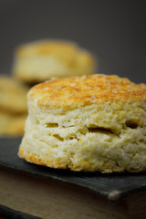 Biscuit