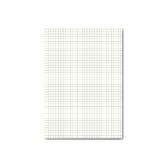 Vector realistic quadrille or graph paper sheet with margins. Copybook, notebook or exercise book blank page, school organizer mockup or template for your text