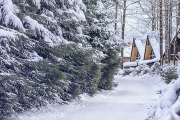 Small house for rest in the winter forest.