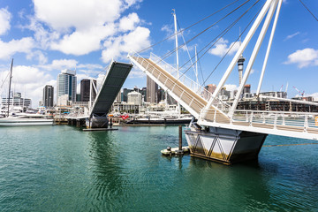 Auckland marina in New Zealand