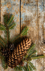 Naklejka na ściany i meble Vintage Christmas background. Christmas fir tree with pine cones on old wooden board. 