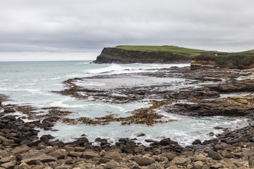 the wild Curio Bay cliffs in New Zealand south island