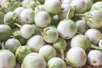 Closeup of eggplants or solanum laciniatum.Fresh eggplant on plant.Agriculture,Plant,Nature Photo.