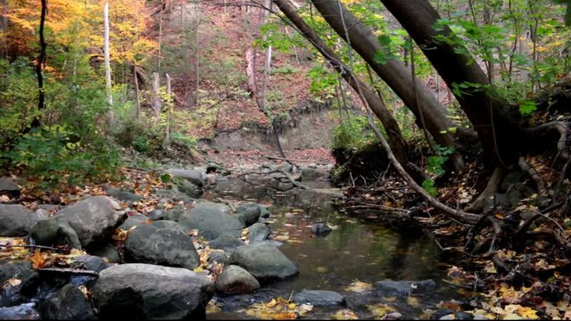 Water running through Mud Creek in Moore Park Ravine along Beltline hiking trail with sugar maple forest in fall colors. It's a part of Don River watershed and stormwater management system in Toronto