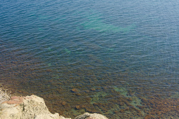 top view on transparent turquoise sea water with seaweed