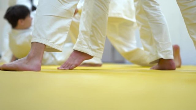 a lesson in Aikido