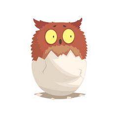 Adorable newborn brown owlet in broken egg shell