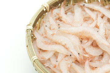 竹ざるに盛られた白エビ