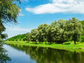 Fototapeta na wymiar The river in the spring in a sunny day.
