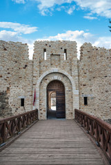 Obraz premium Landscape medieval Fortress of the Suceava district, from Romani