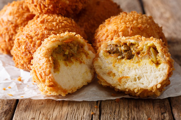 Japanese bread curry Kare-pan in breadcrumbs macro. horizontal