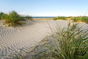 Fototapeta na wymiar Beach with sand dunes and marram grass in soft evening sunset light.