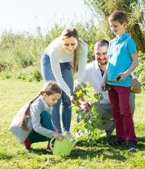 ﻿family  planting tree outdoors