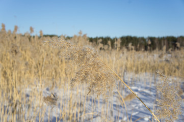 View of the sandy quarry in winter.