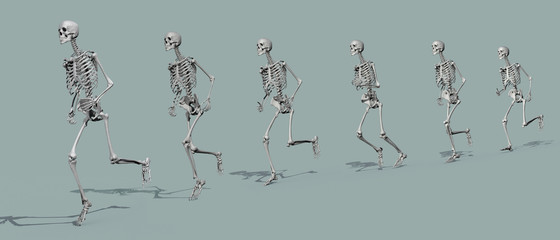 Sequence showing a human male skeleton running forward. 3D Rendering - 179066204