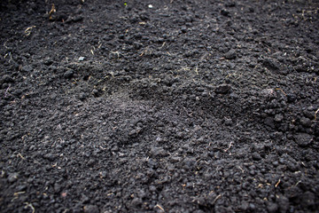 Fresh plowed earth as the background