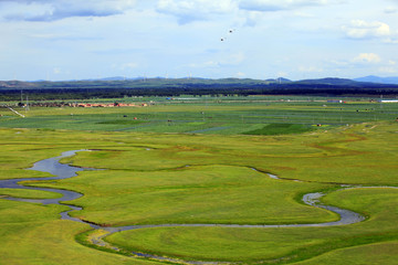 The river on the grassland